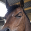 Photo de profil de TZE