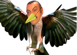:Risi_bird: