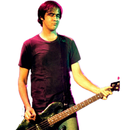 :KristNovoselic_bass:
