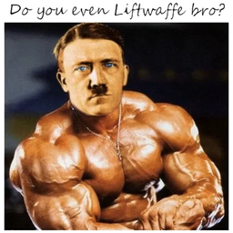:hitler21: