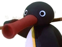 :Pingu_tuut: