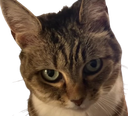:Minnie: