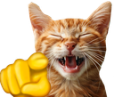 :chat_rit: