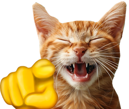 :chat_rit: