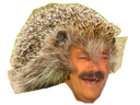 :Niturneau1: