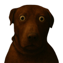 :teddicursed3:
