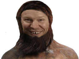 :cromagnon_sourire: