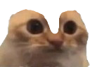 :Chatchelou: