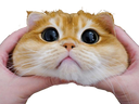 :chant_roux2: