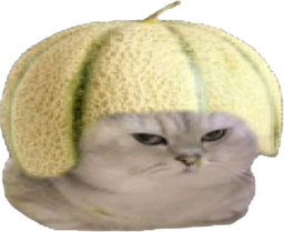 :chatbrushingmelon: