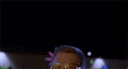 :Walter_boum: