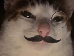 :moustichat: