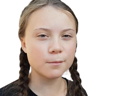 :greta_thunberg: