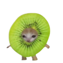 :Chat_kiwi: