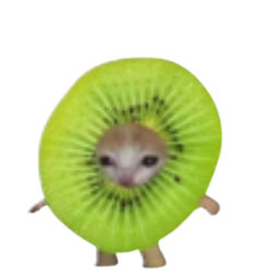 :Chat_kiwi: