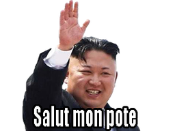 :leader_salut: