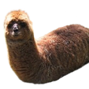 :Lamastico: