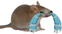 :cry_friend: