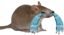 :cry_friend: