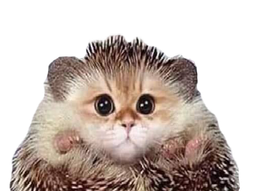 :charrison: