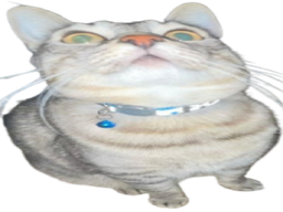:CS_Trauma: