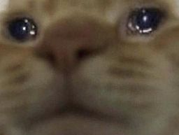 :Chat_sad: