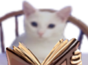 :Croquelove: