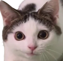 :alors_toi:
