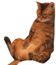 :digestion: