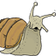 Photo de profil de karlouche