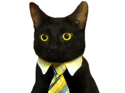 :chat_cravate: