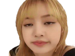:lisa_blasee: