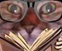 :Chat_zoom_lunettes: