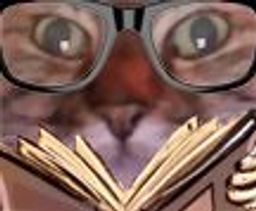 :Chat_zoom_lunettes: