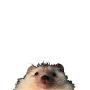:herissontete: