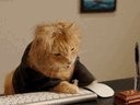 :Chat_Souris: