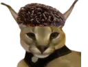 :igoent2000: