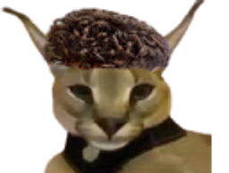 :igoent2000: