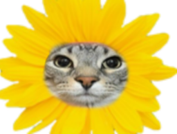 :CS_fleur: