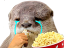 :loutre_snif_popcorn: