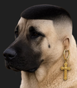:chien_chad_: