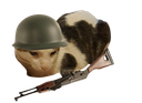 :sergentchong:
