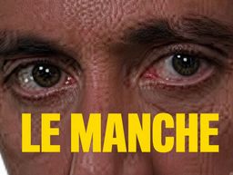 :manche_tony: