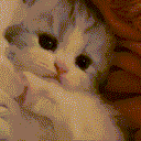 :Chat_lit: