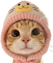 :chat_bonnet1: