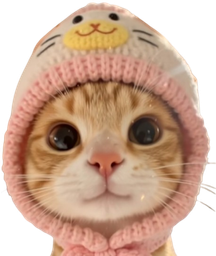 :chat_bonnet1: