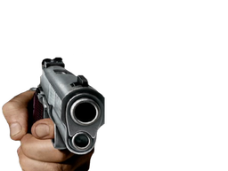 :flingue3: