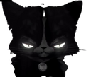 :Chat_noir: