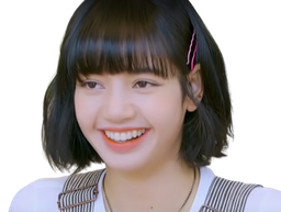 :lisa_rigole: