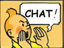 :tintinchat: